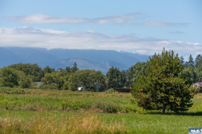 Stunning Panoramic Mountain Views on 9+ Acres! New deluxe shed - photo 31