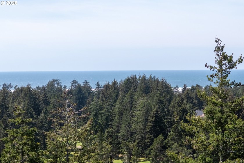Discover the perfect canvas for your coastal dream home in the - photo 8