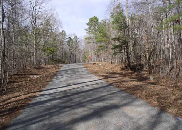Buck Springs Plantation - photo 3