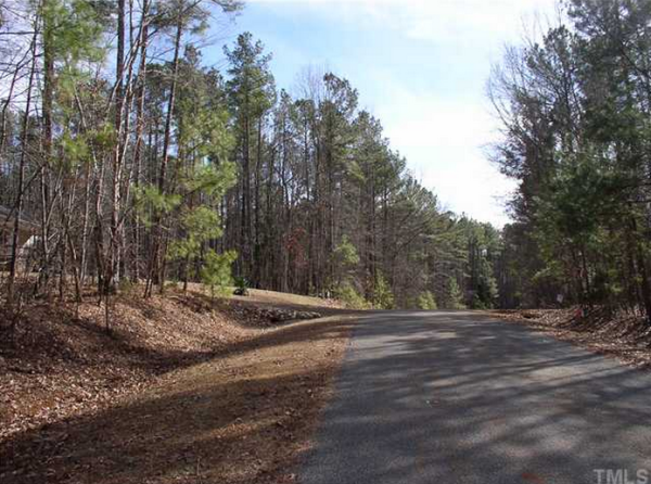 Buck Springs Plantation - photo 4