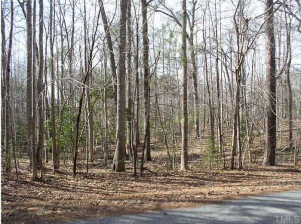 Buck Springs Plantation - photo 5