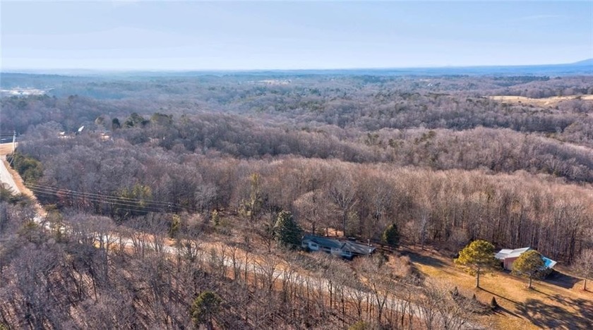 Beautiful mature land! 23.41 Acres - wooded with a nice mix of - photo 2