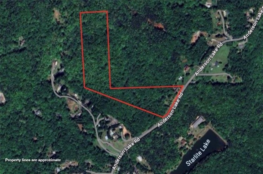 Beautiful mature land! 23.41 Acres - wooded with a nice mix of - photo 4