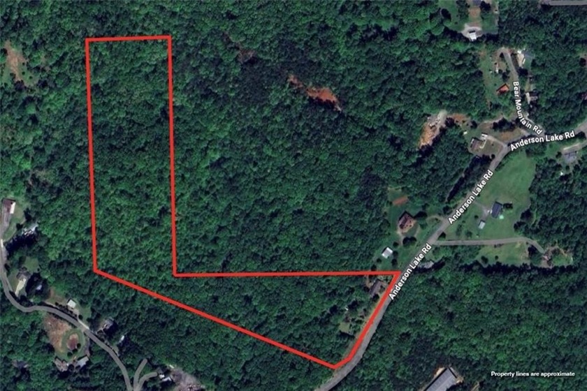 Beautiful mature land! 23.41 Acres - wooded with a nice mix of - photo 5