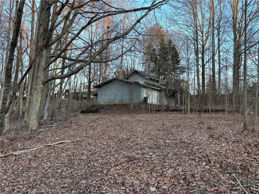 Beautiful mature land! 23.41 Acres - wooded with a nice mix of - photo 8