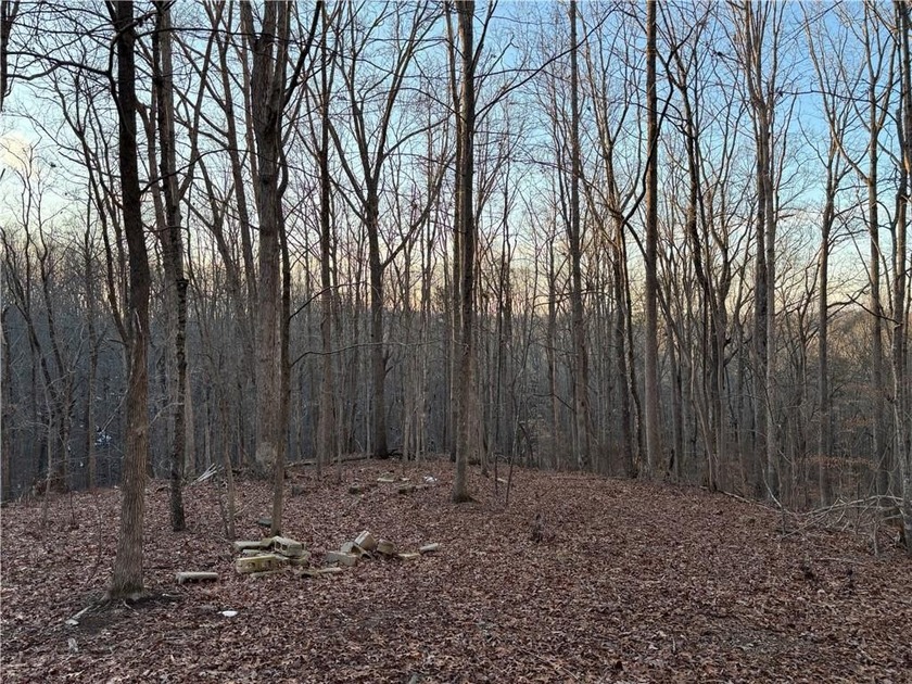 Beautiful mature land! 23.41 Acres - wooded with a nice mix of - photo 10