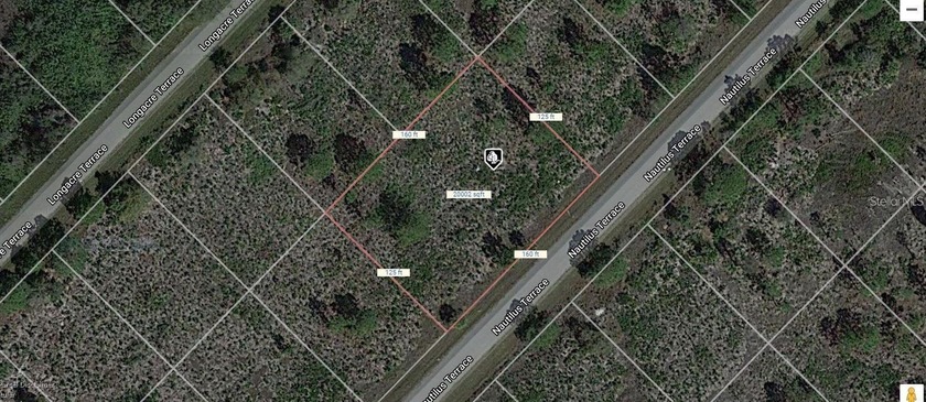 OVERSIZED DOUBLE LOT. Embrace the charm of Port Charlotte with - photo 3