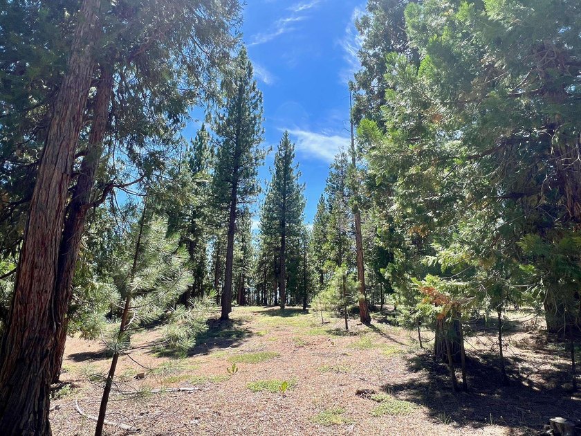 WHERE THE PINES MEET LUXURY LIVING! Discover the perfect setting - photo 11