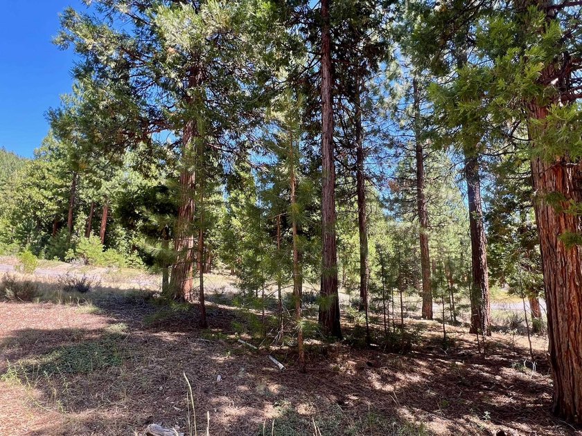 WHERE THE PINES MEET LUXURY LIVING! Discover the perfect setting - photo 13