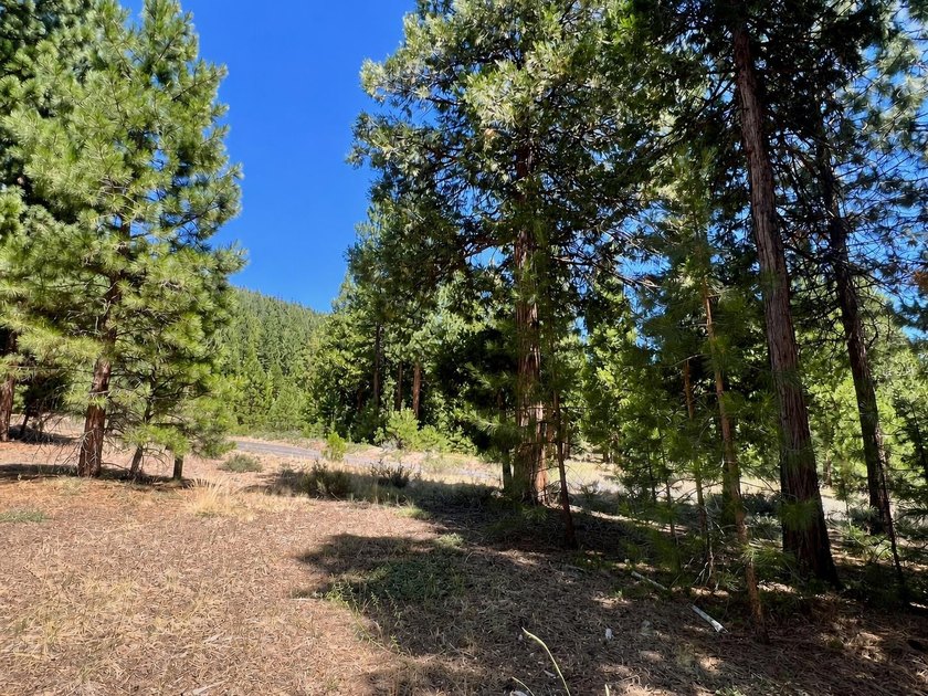 WHERE THE PINES MEET LUXURY LIVING! Discover the perfect setting - photo 14