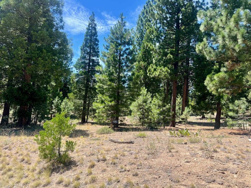 WHERE THE PINES MEET LUXURY LIVING! Discover the perfect setting - photo 15