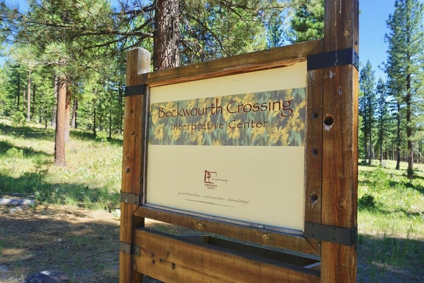 WHERE THE PINES MEET LUXURY LIVING! Discover the perfect setting - photo 18