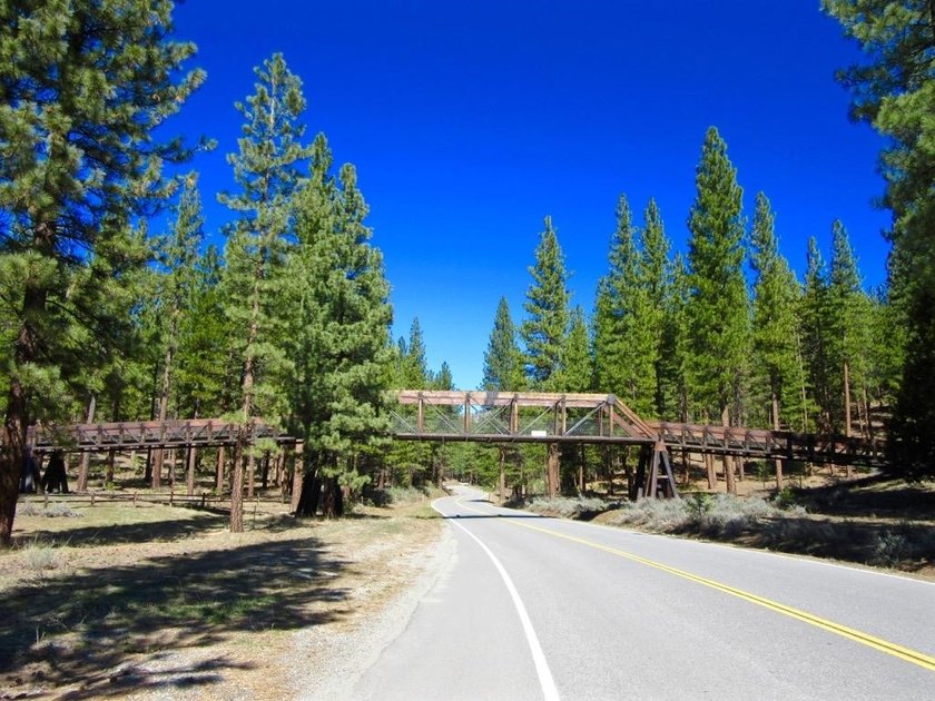 WHERE THE PINES MEET LUXURY LIVING! Discover the perfect setting - photo 25