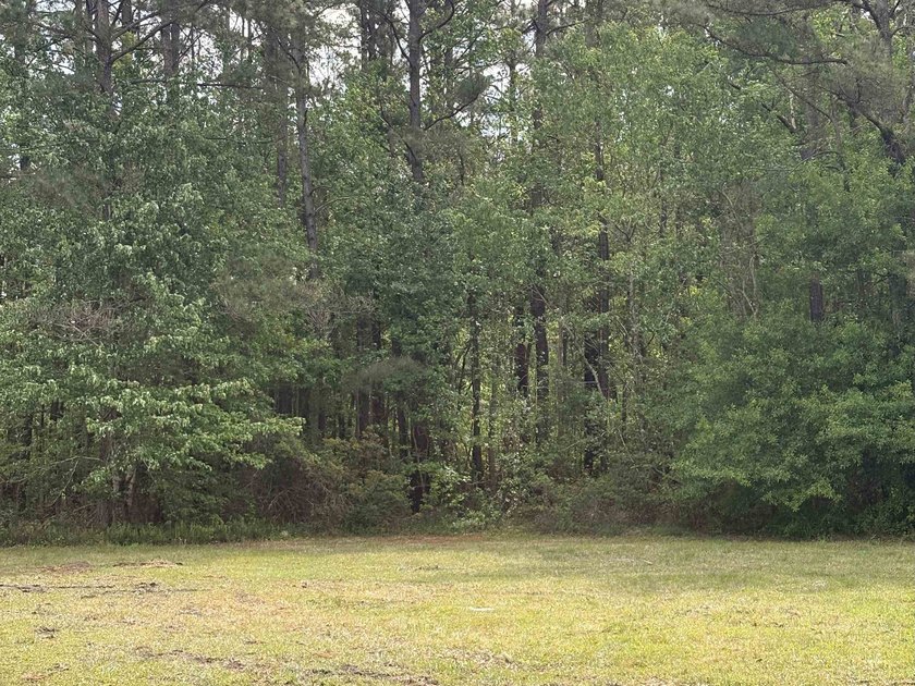 Prime .68-acre parcel on Highway 707 in Myrtle Beach, * - photo 3