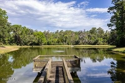 Tucked within one of Beaufort's most sought-after deepwater - photo 11