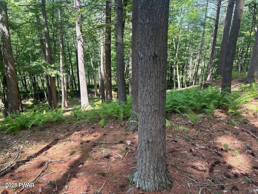 Lackawaxen River View Building Site - Your Dream Awaits! Imagine - photo 11