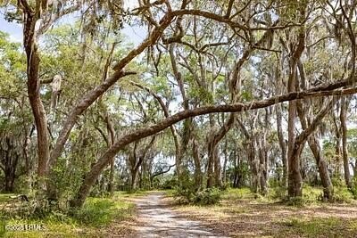 Tucked within one of Beaufort's most sought-after deepwater - photo 15