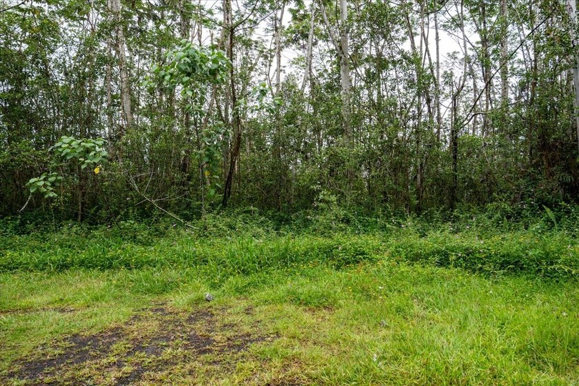 Located in a cul-de-sac in Nanawale Estates, Lava 2 Zone, this - photo 12