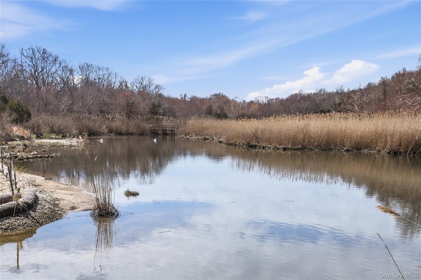 This enchanting land, situated in the heart of Springs,East - photo 16