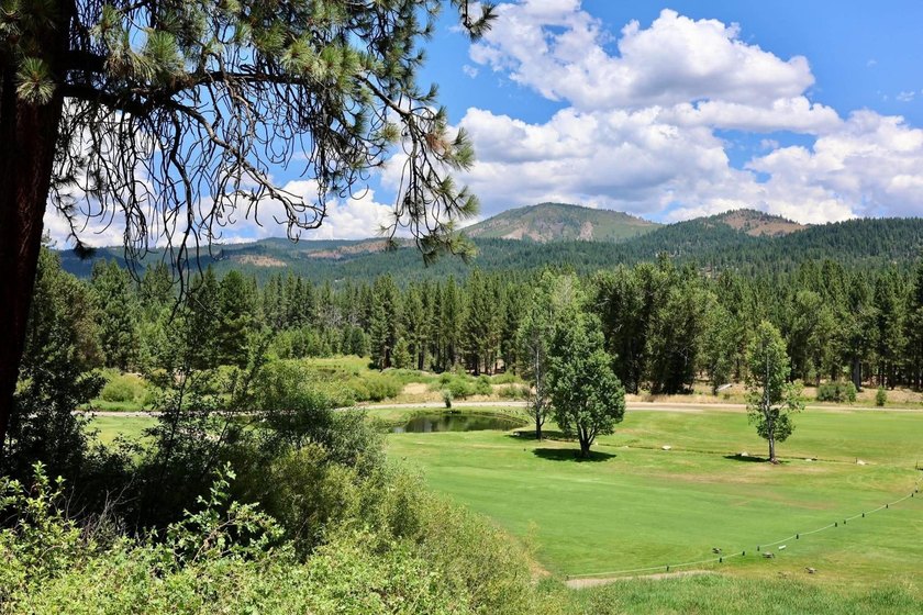 Welcome to easy mountain living in the heart of Graeagle. This - photo 42