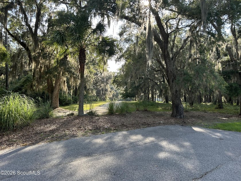 Build your dream home beneath a canopy of majestic live oaks in - photo 11