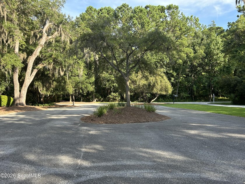 Build your dream home beneath a canopy of majestic live oaks in - photo 12