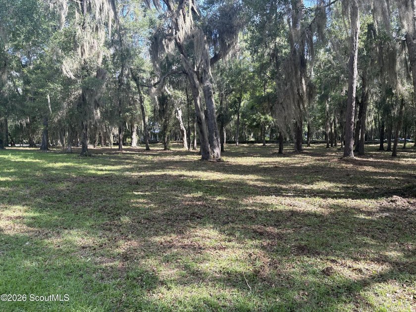 Build your dream home beneath a canopy of majestic live oaks in - photo 14