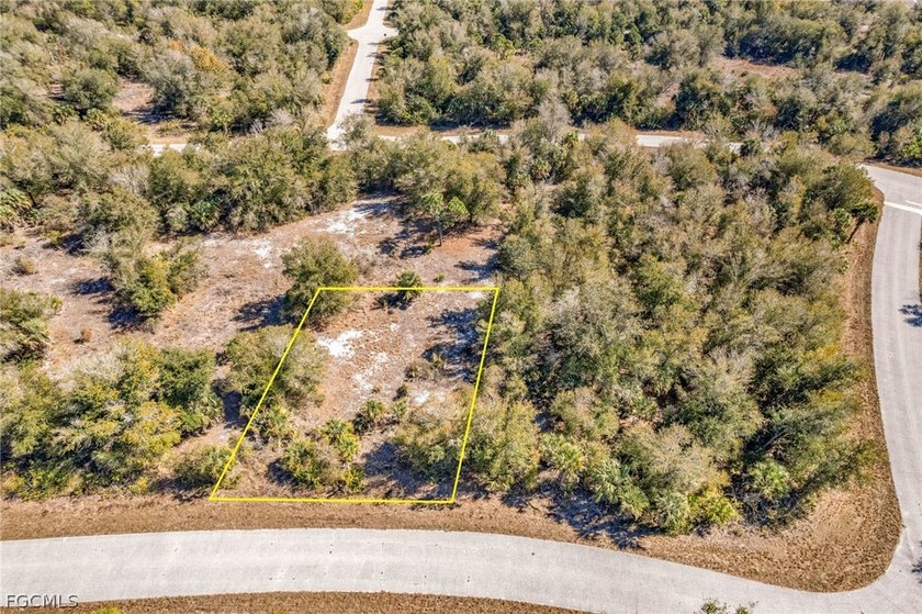 Build your Florida dream home in the peaceful city of Port - photo 3