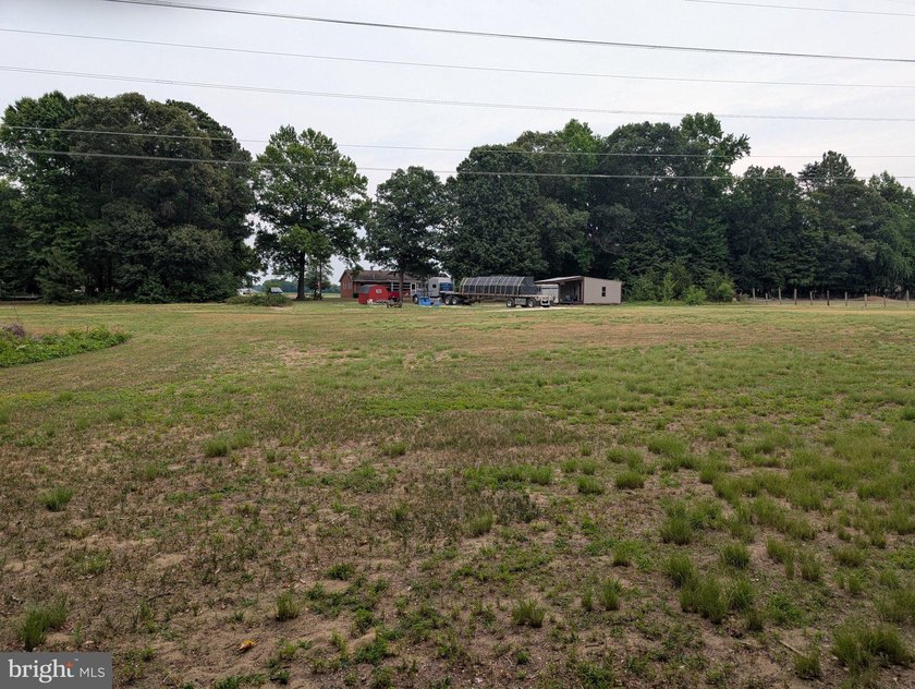 4 bedroom 2 bath rancher on 3.6 spacious acres on the headwaters - photo 8