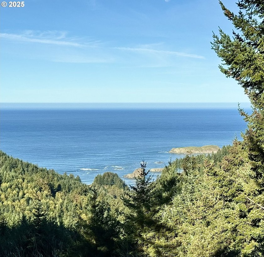 EXQUISITE PISTOL RIVER OCEAN VIEW ESTATE FOR THOSE WITH - photo 16