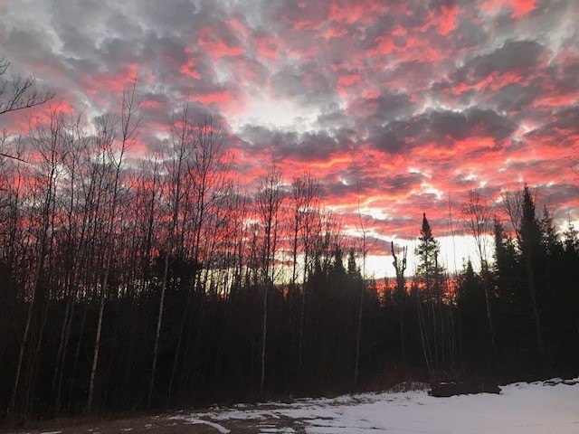 Northwoods Estate on 110+ Acres.Chalet Residence,Creek,Managed - photo 32