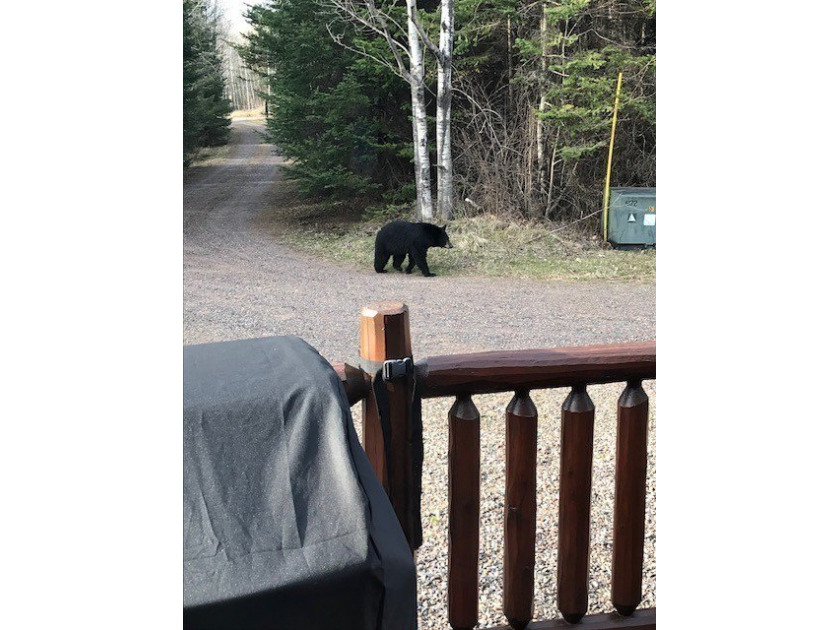 Northwoods Estate on 110+ Acres.Chalet Residence,Creek,Managed - photo 36