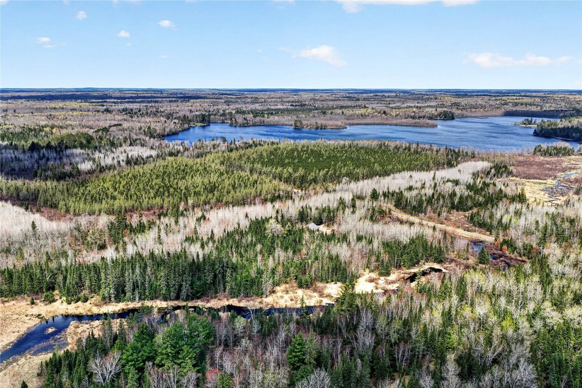Northwoods Estate on 110+ Acres.Chalet Residence,Creek,Managed - photo 47