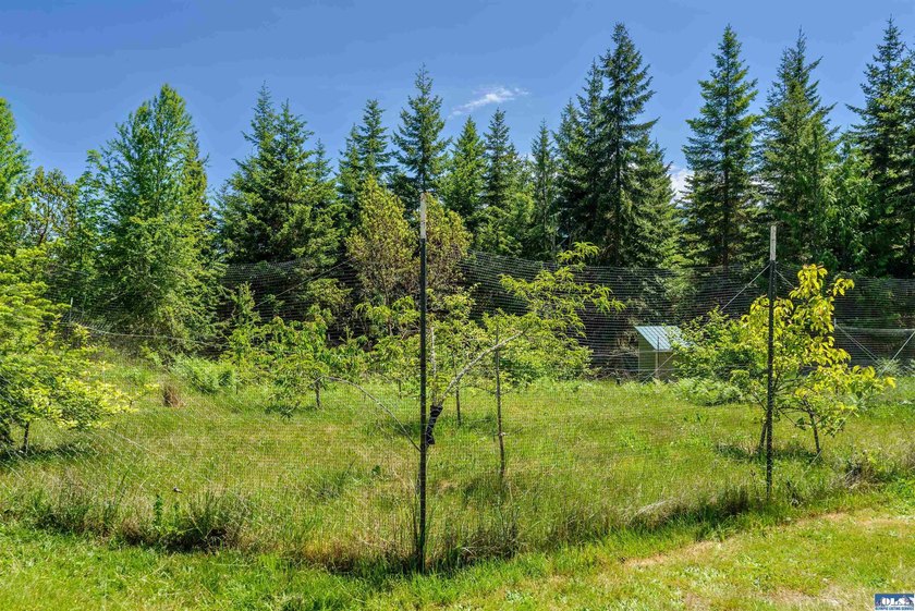 This unbelievable property presents a once-in-a-lifetime - photo 46