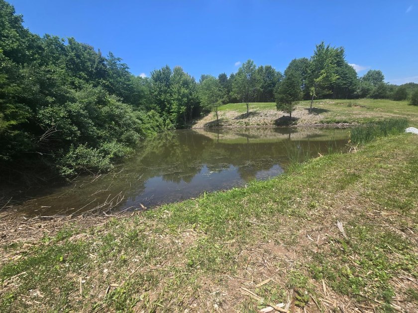 Beautiful 2.58-acre property featuring a peaceful .2-acre pond - photo 4
