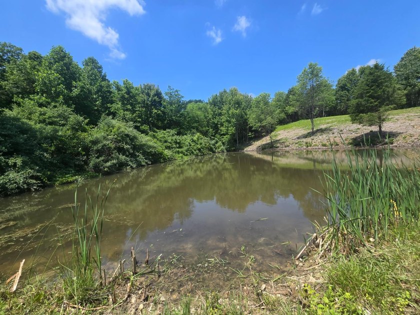 Beautiful 2.58-acre property featuring a peaceful .2-acre pond - photo 7