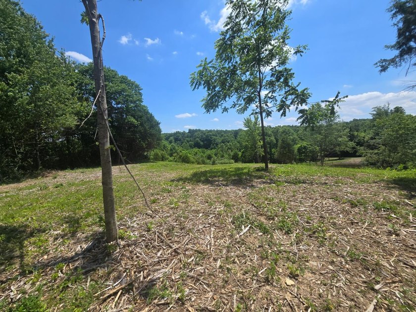 Beautiful 2.58-acre property featuring a peaceful .2-acre pond - photo 10
