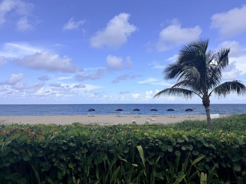Live steps from the sand at the prestigious Chalfonte, on Boca - photo 37
