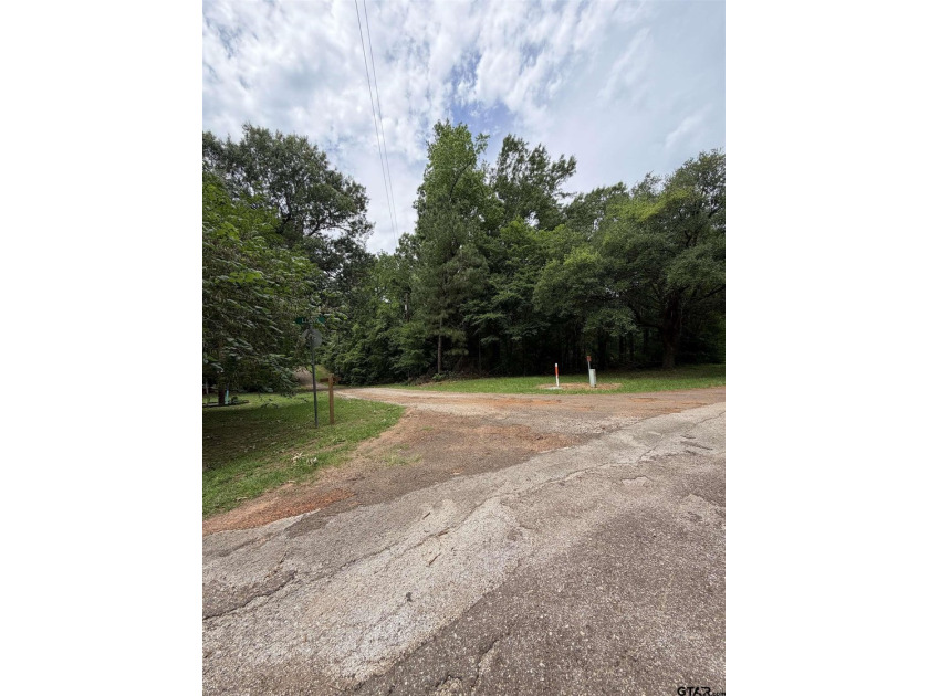 This lot in Tall Tree North Lake Community of Mount Vernon - photo 4