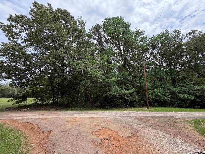 This lot in Tall Tree North Lake Community of Mount Vernon - photo 5