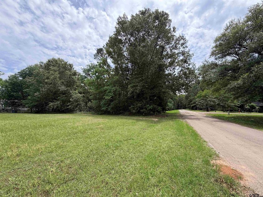 This lot in Tall Tree North Lake Community of Mount Vernon - photo 7