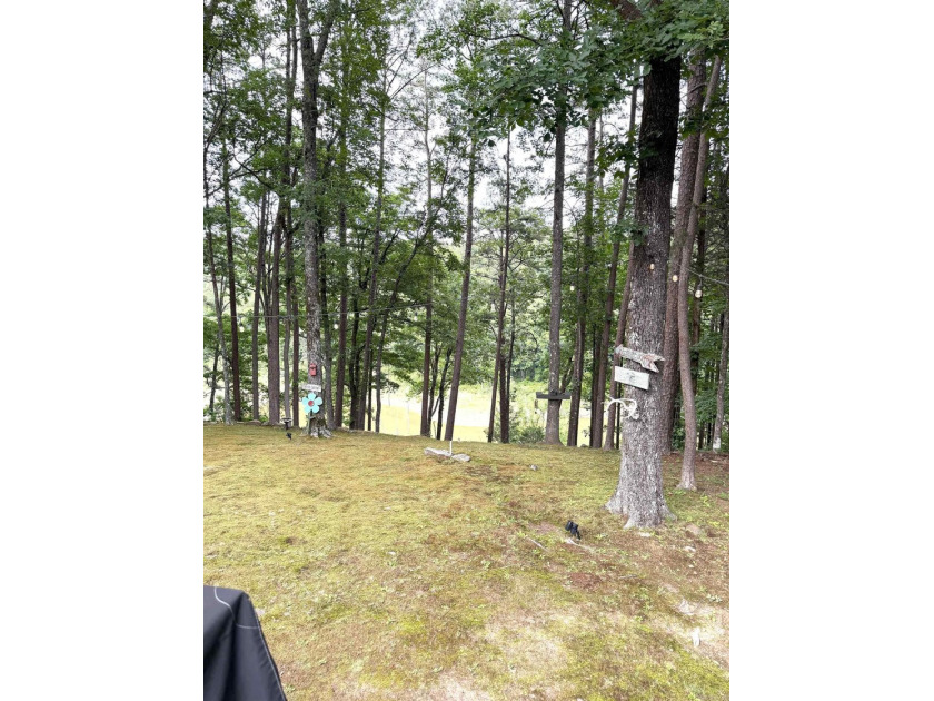 LAKETIME IS HERE! Own your home at beautiful Greers Ferry Lake! - photo 25