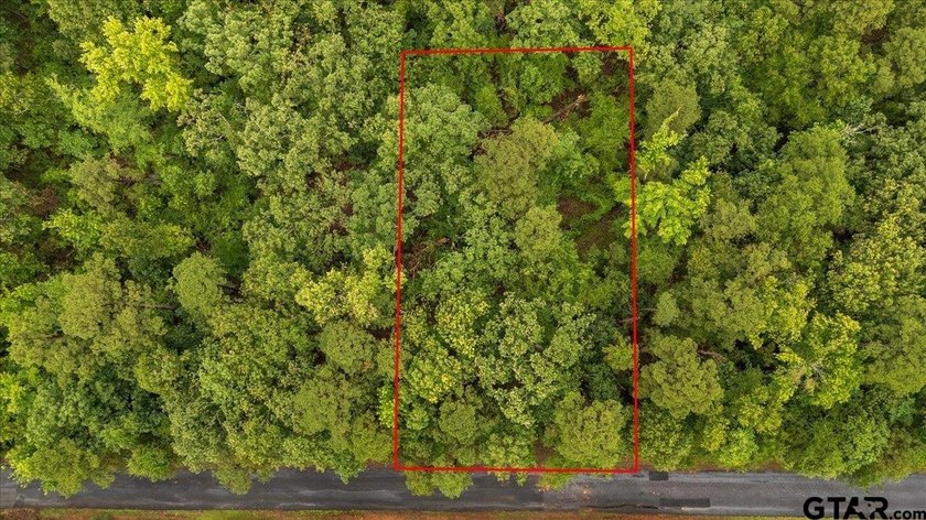 Tucked beneath a canopy of mature trees, this beautiful .33-acre - photo 6