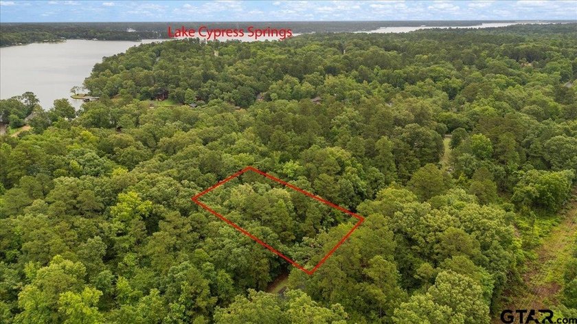 Tucked beneath a canopy of mature trees, this beautiful .33-acre - photo 8