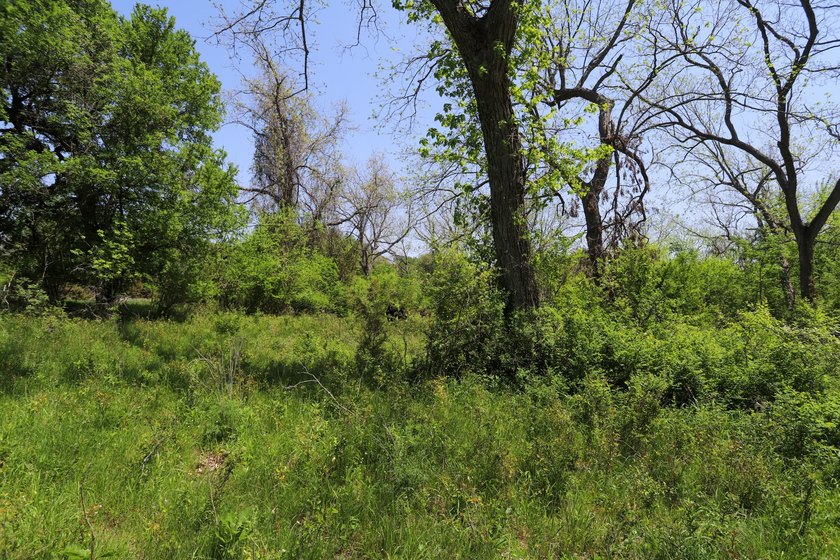 533 Acres Coryell County, Central Texas Located in the heart of - photo 12