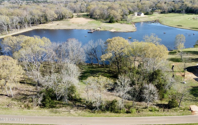 1165 North Ratliff Road Lot 26 Tinnin Estates 4.21 Acreage Lot - photo 2
