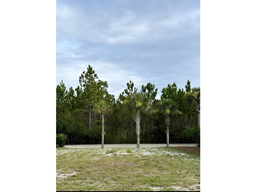 Build Your Beach Home Just Minutes from the Emerald Coast - photo 4