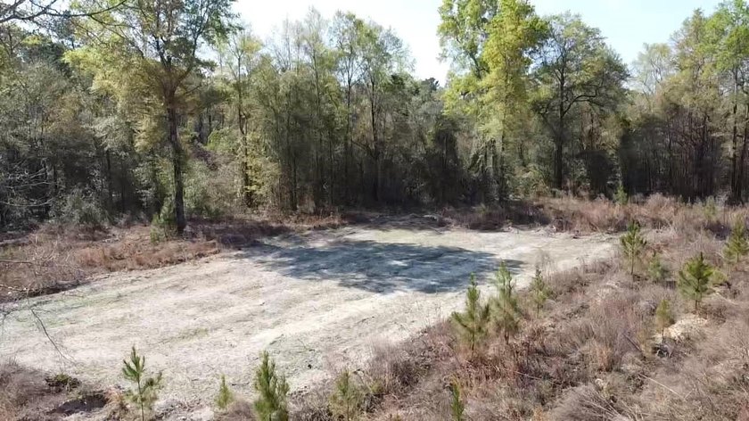 5.13 ac - Georgetown, SC Looking for a quiet place in the - photo 6