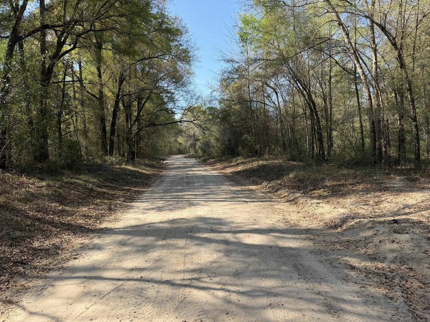 5.13 ac - Georgetown, SC Looking for a quiet place in the - photo 9