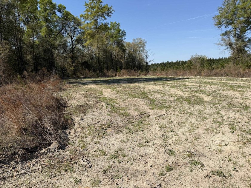 5.13 ac - Georgetown, SC Looking for a quiet place in the - photo 10